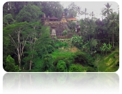 hindu temple into the rainforest in Ubud - Bali