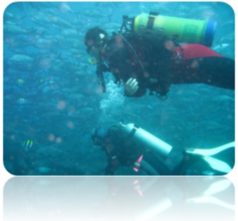 Tauchgebiet Bali