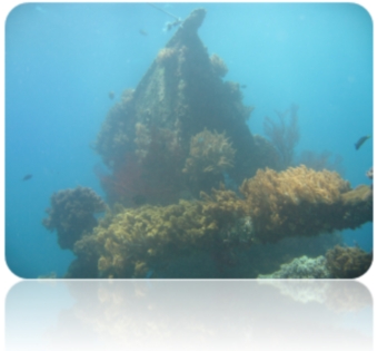 Tauchgebiet Bali