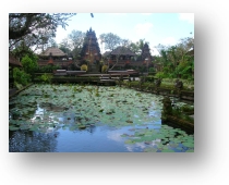 temple  ubud  bali