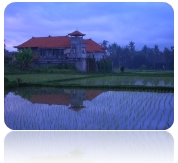 rice terrace reflection - ubud - bali
